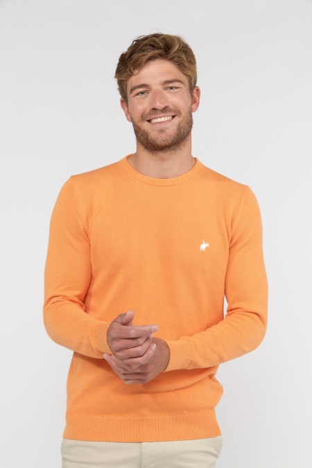 Pull Flinn Sienne
