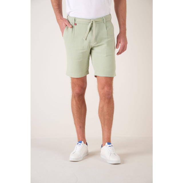 Short Luz Sauge