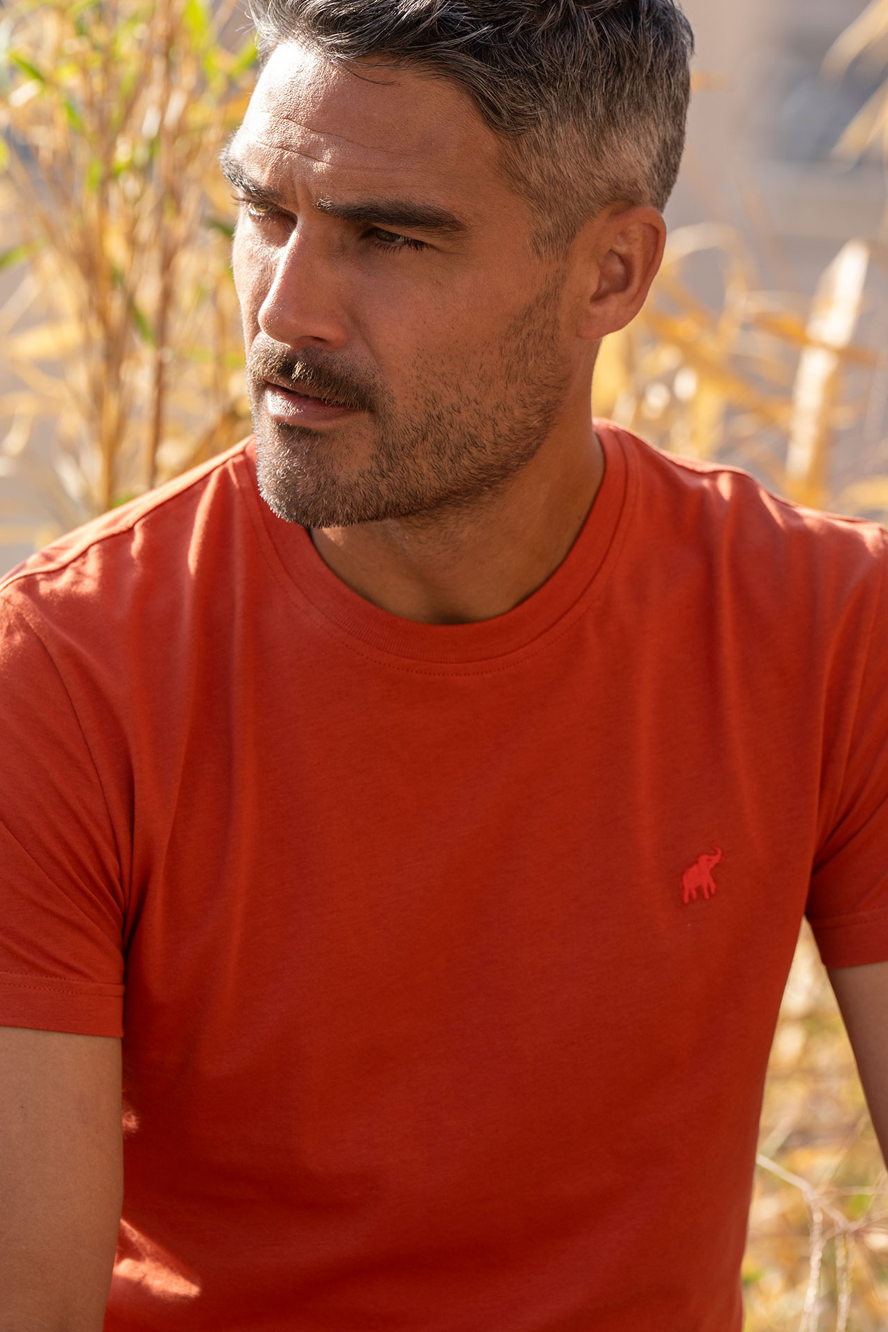 T-shirt New Basic Brique