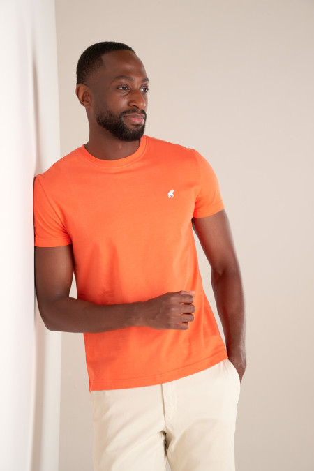 T-shirt New Basic Pesca