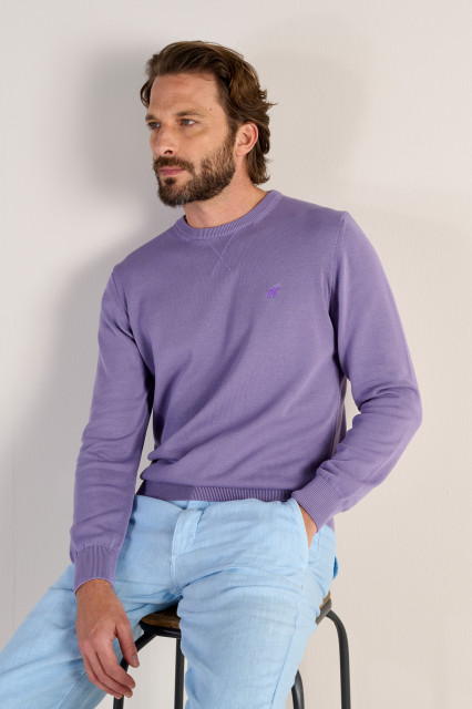 Grape Clark Sweater