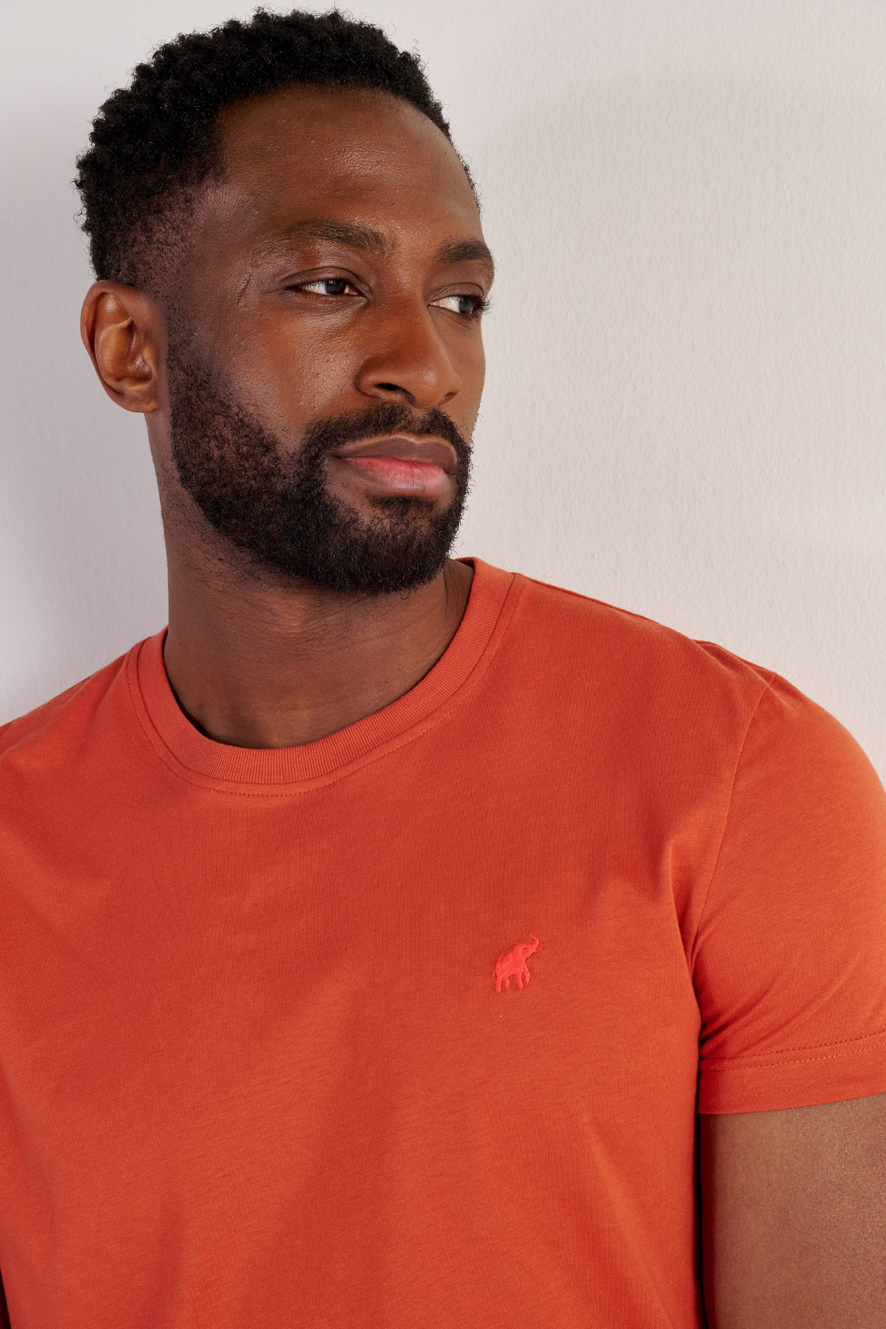 T-shirt New Basic Brique